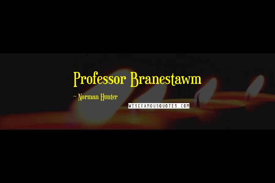 Norman Hunter Quotes: Professor Branestawm