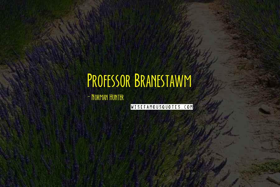 Norman Hunter Quotes: Professor Branestawm