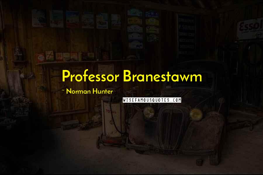 Norman Hunter Quotes: Professor Branestawm