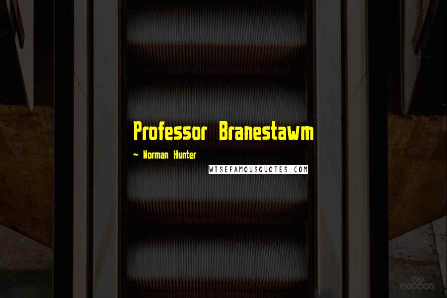 Norman Hunter Quotes: Professor Branestawm