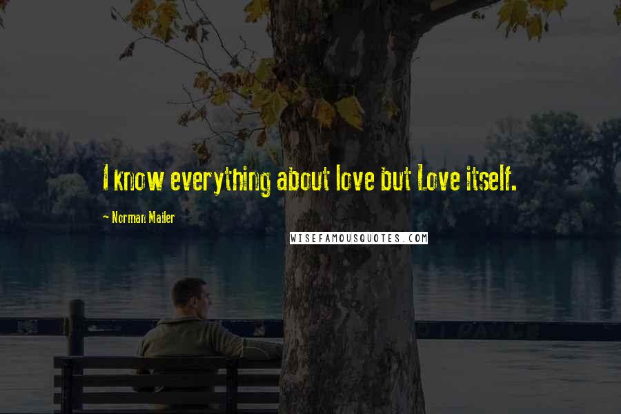 Norman Mailer Quotes: I know everything about love but Love itself.