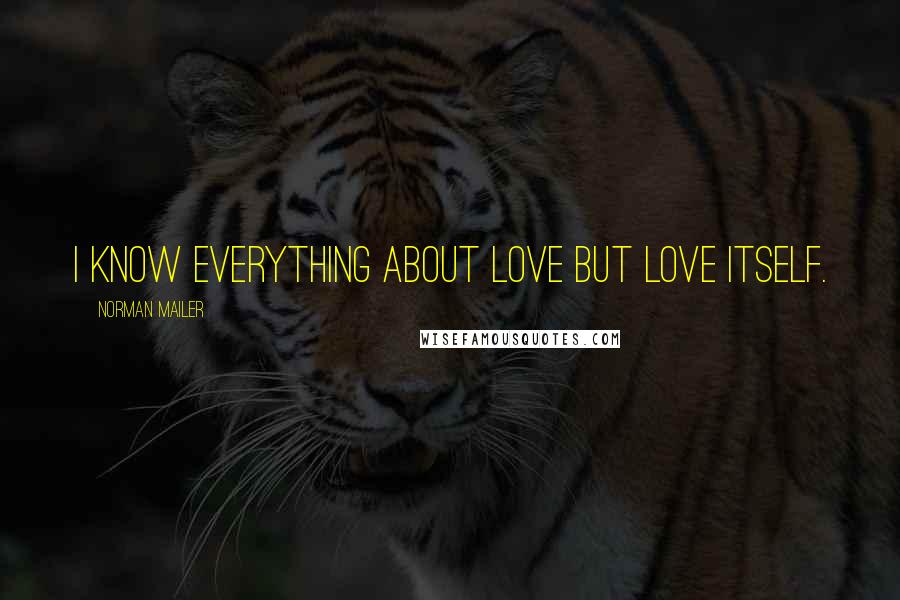 Norman Mailer Quotes: I know everything about love but Love itself.