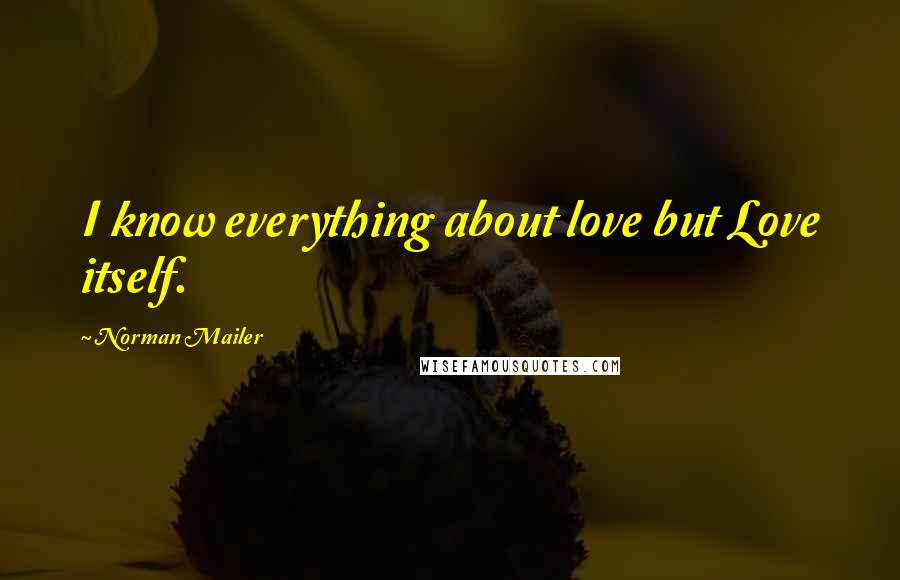 Norman Mailer Quotes: I know everything about love but Love itself.