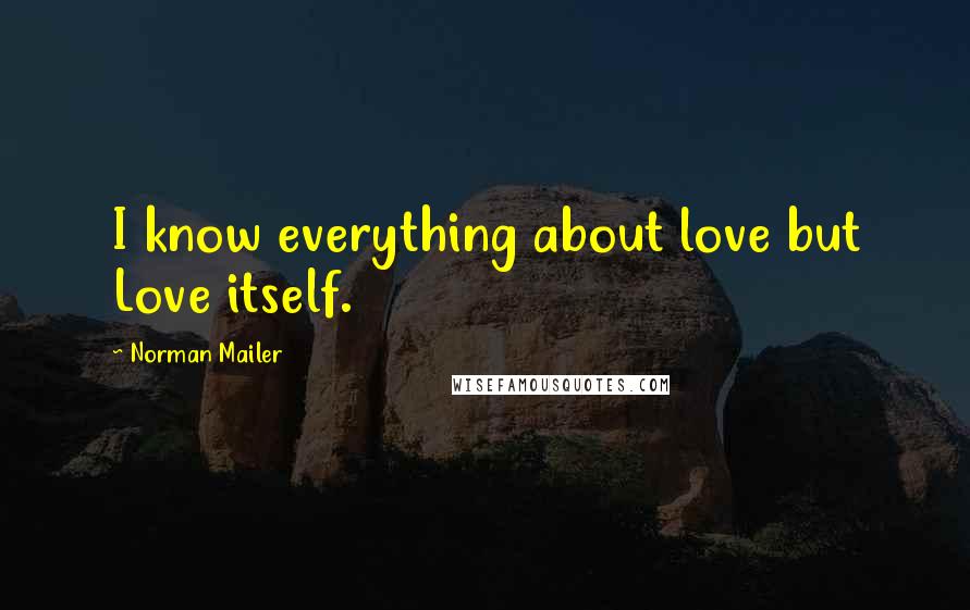 Norman Mailer Quotes: I know everything about love but Love itself.