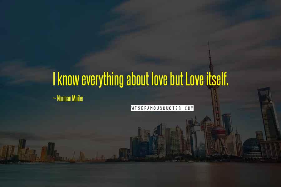 Norman Mailer Quotes: I know everything about love but Love itself.
