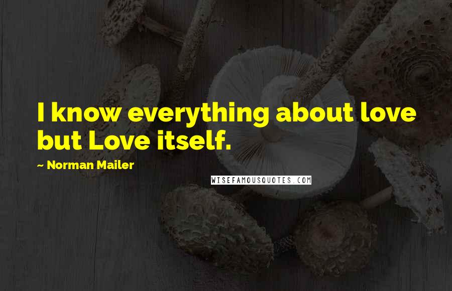 Norman Mailer Quotes: I know everything about love but Love itself.