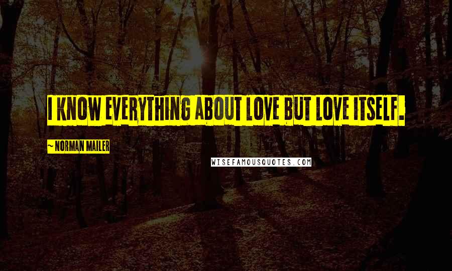 Norman Mailer Quotes: I know everything about love but Love itself.