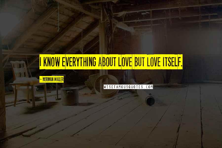 Norman Mailer Quotes: I know everything about love but Love itself.