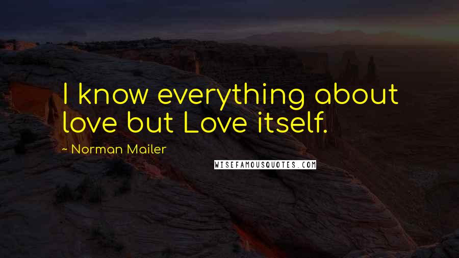 Norman Mailer Quotes: I know everything about love but Love itself.