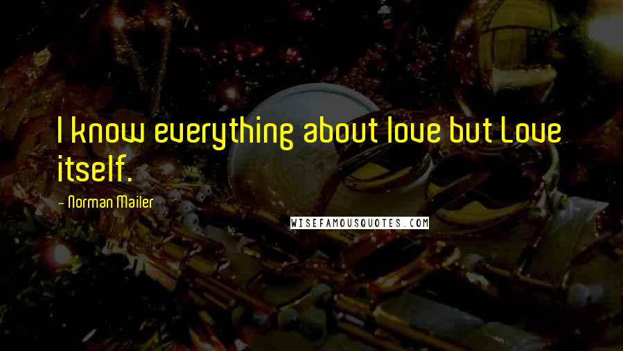 Norman Mailer Quotes: I know everything about love but Love itself.