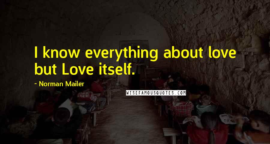 Norman Mailer Quotes: I know everything about love but Love itself.