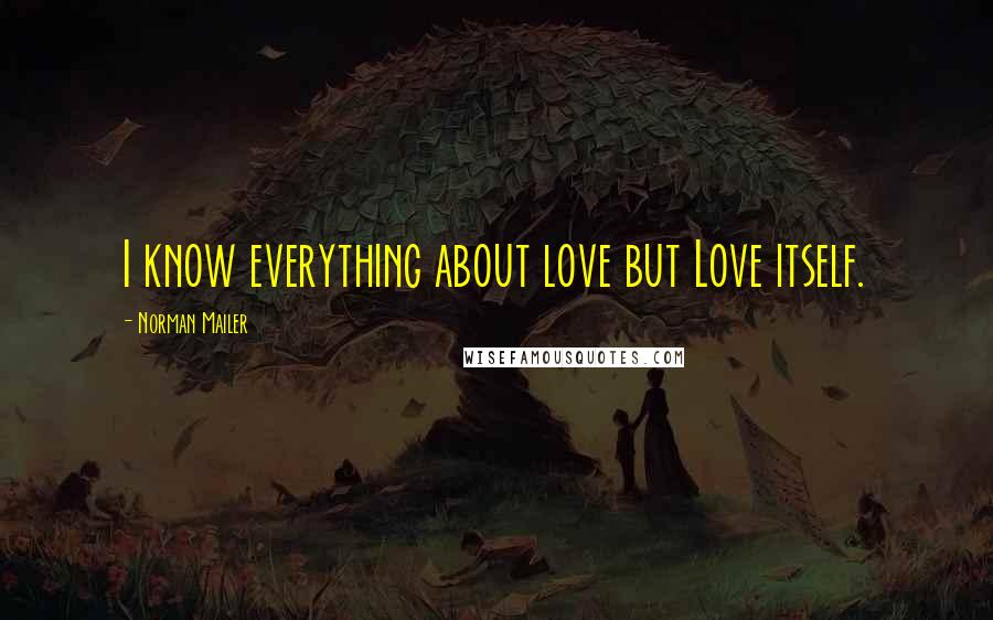 Norman Mailer Quotes: I know everything about love but Love itself.