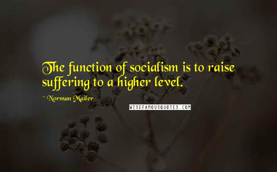 Norman Mailer Quotes: The function of socialism is to raise suffering to a higher level.