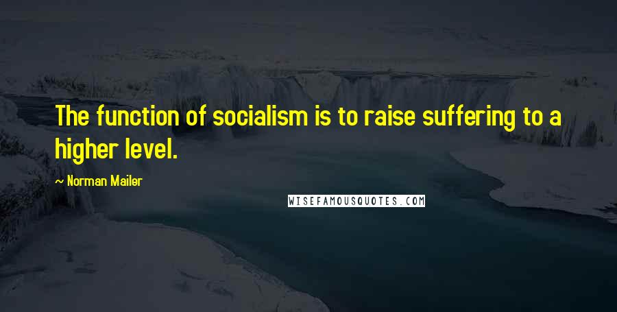 Norman Mailer Quotes: The function of socialism is to raise suffering to a higher level.