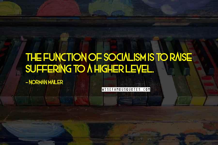 Norman Mailer Quotes: The function of socialism is to raise suffering to a higher level.