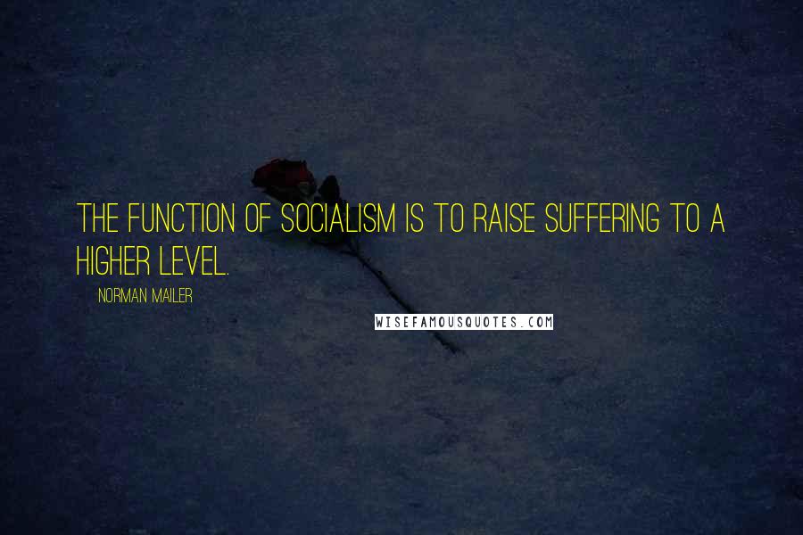 Norman Mailer Quotes: The function of socialism is to raise suffering to a higher level.