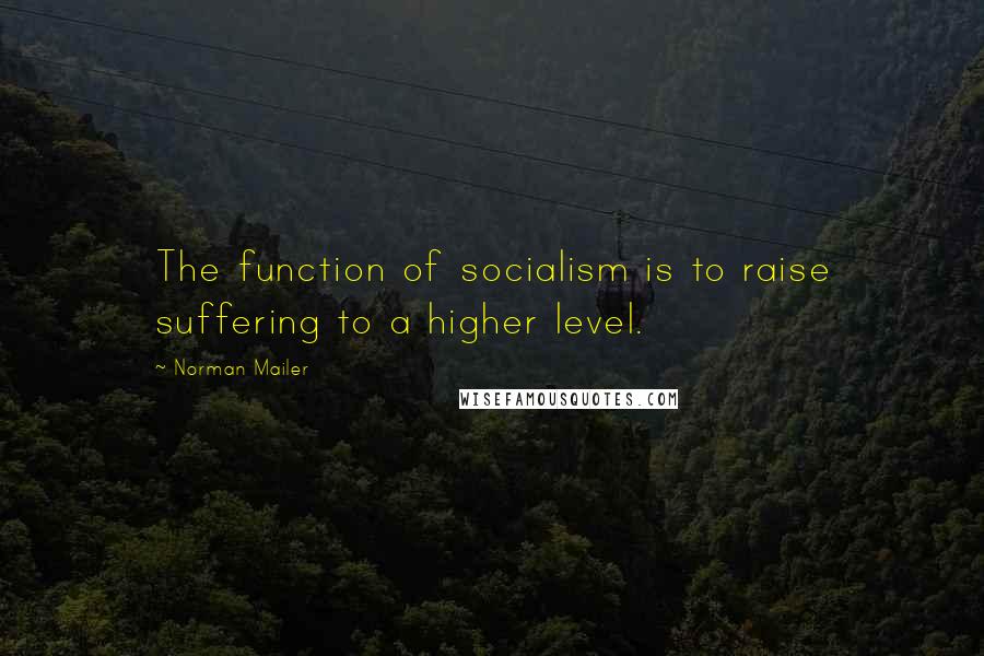 Norman Mailer Quotes: The function of socialism is to raise suffering to a higher level.