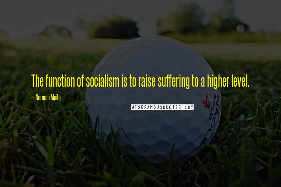 Norman Mailer Quotes: The function of socialism is to raise suffering to a higher level.