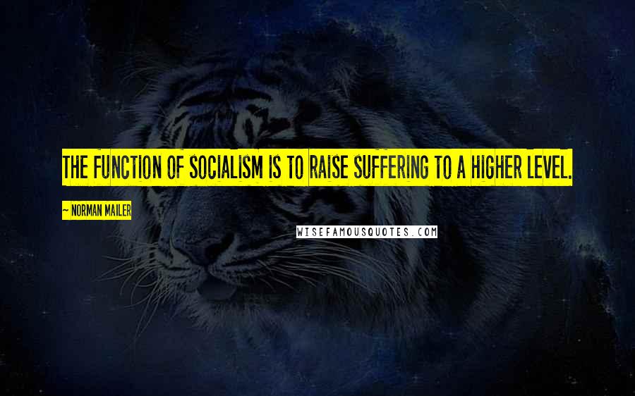 Norman Mailer Quotes: The function of socialism is to raise suffering to a higher level.