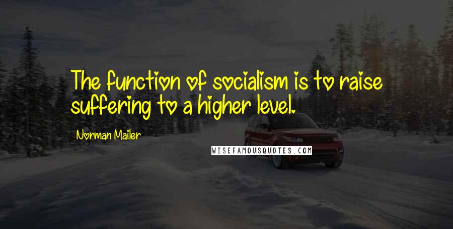 Norman Mailer Quotes: The function of socialism is to raise suffering to a higher level.