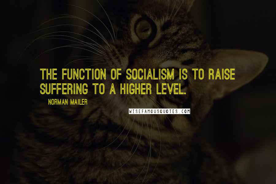 Norman Mailer Quotes: The function of socialism is to raise suffering to a higher level.