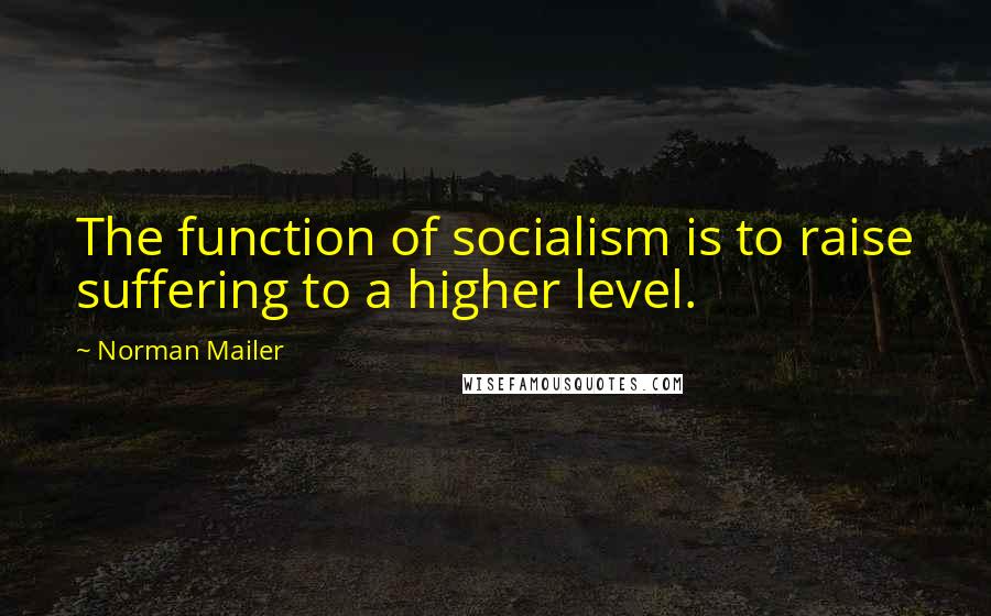 Norman Mailer Quotes: The function of socialism is to raise suffering to a higher level.