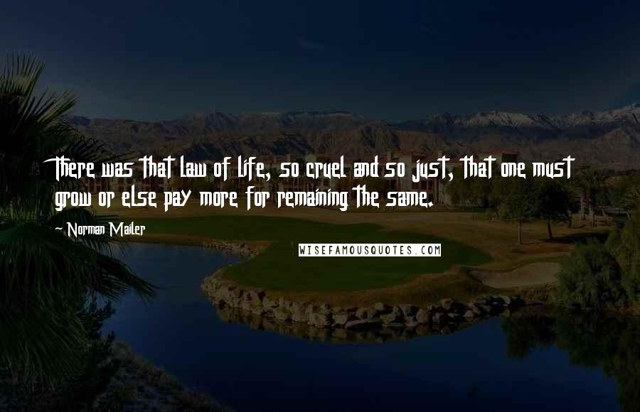 Norman Mailer Quotes: There was that law of life, so cruel and so just, that one must grow or else pay more for remaining the same.