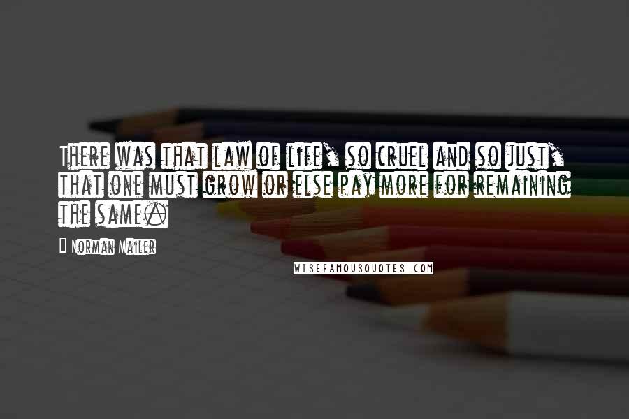 Norman Mailer Quotes: There was that law of life, so cruel and so just, that one must grow or else pay more for remaining the same.