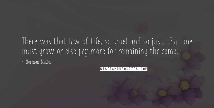 Norman Mailer Quotes: There was that law of life, so cruel and so just, that one must grow or else pay more for remaining the same.