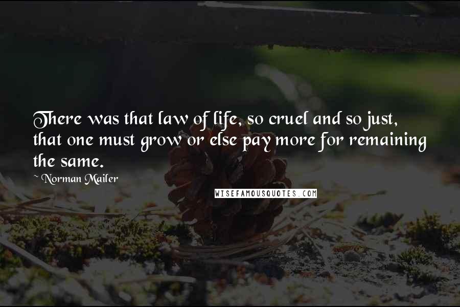 Norman Mailer Quotes: There was that law of life, so cruel and so just, that one must grow or else pay more for remaining the same.