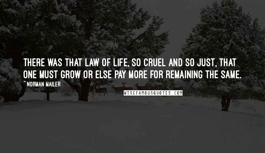 Norman Mailer Quotes: There was that law of life, so cruel and so just, that one must grow or else pay more for remaining the same.