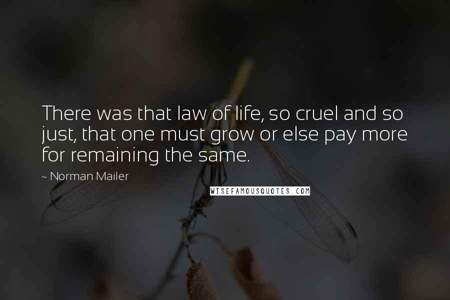 Norman Mailer Quotes: There was that law of life, so cruel and so just, that one must grow or else pay more for remaining the same.