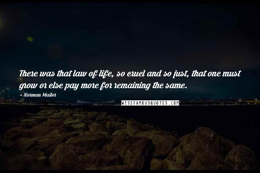 Norman Mailer Quotes: There was that law of life, so cruel and so just, that one must grow or else pay more for remaining the same.