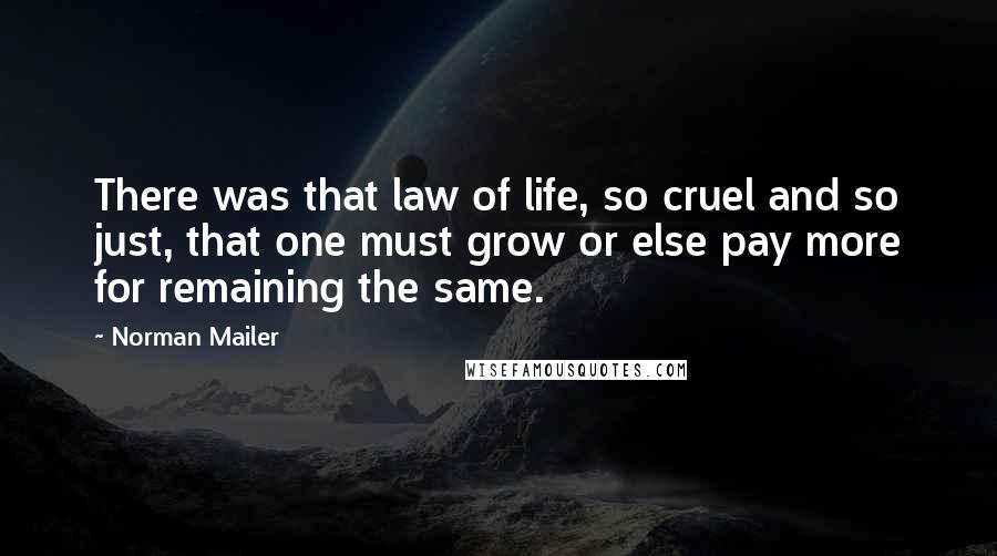 Norman Mailer Quotes: There was that law of life, so cruel and so just, that one must grow or else pay more for remaining the same.