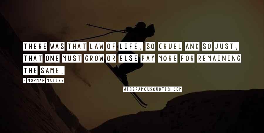 Norman Mailer Quotes: There was that law of life, so cruel and so just, that one must grow or else pay more for remaining the same.