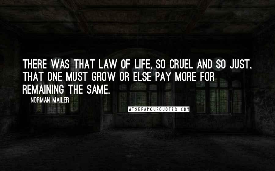 Norman Mailer Quotes: There was that law of life, so cruel and so just, that one must grow or else pay more for remaining the same.