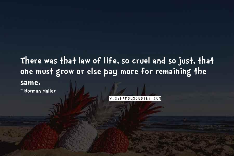 Norman Mailer Quotes: There was that law of life, so cruel and so just, that one must grow or else pay more for remaining the same.