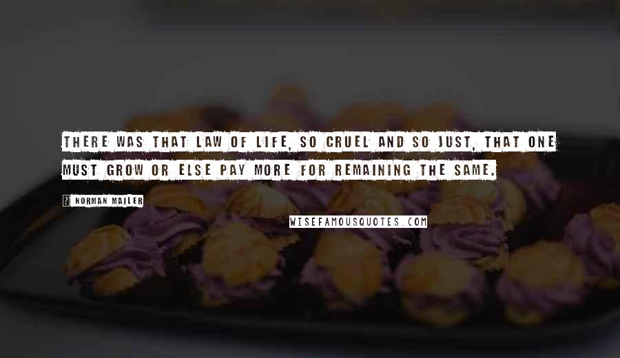 Norman Mailer Quotes: There was that law of life, so cruel and so just, that one must grow or else pay more for remaining the same.