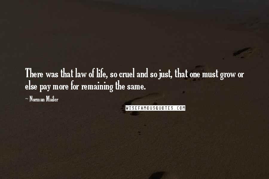 Norman Mailer Quotes: There was that law of life, so cruel and so just, that one must grow or else pay more for remaining the same.