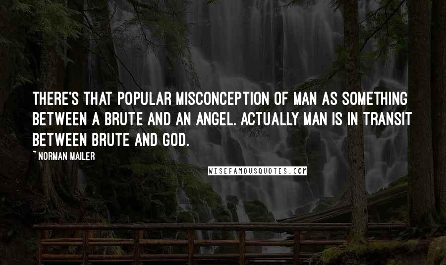 Norman Mailer Quotes: There's that popular misconception of man as something between a brute and an angel. Actually man is in transit between brute and God.