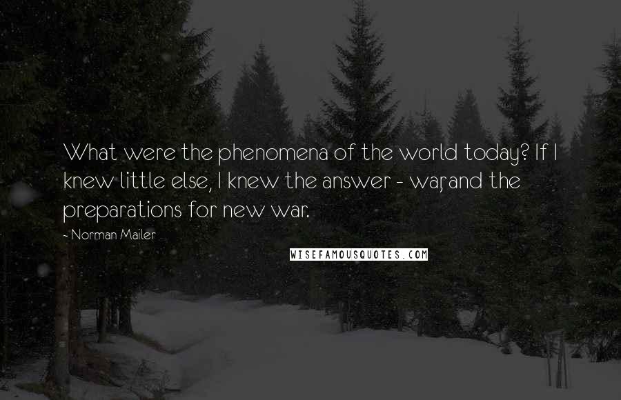 Norman Mailer Quotes: What were the phenomena of the world today? If I knew little else, I knew the answer - war, and the preparations for new war.