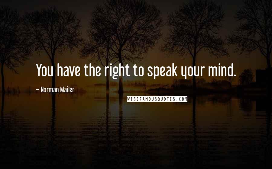 Norman Mailer Quotes: You have the right to speak your mind.