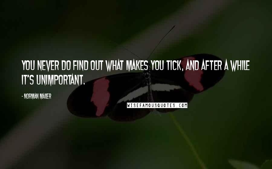 Norman Mailer Quotes: You never do find out what makes you tick, and after a while it's unimportant.