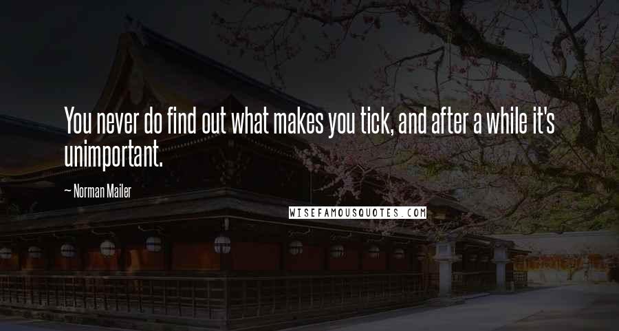 Norman Mailer Quotes: You never do find out what makes you tick, and after a while it's unimportant.