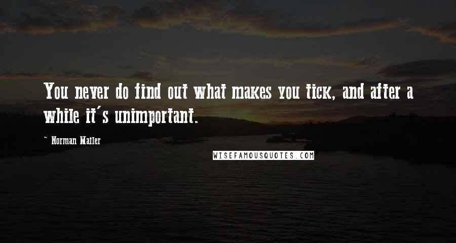 Norman Mailer Quotes: You never do find out what makes you tick, and after a while it's unimportant.