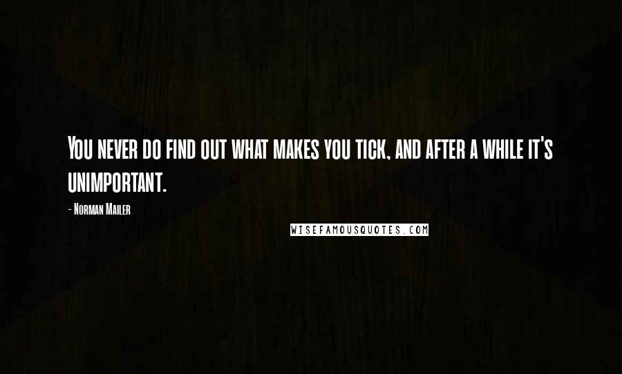 Norman Mailer Quotes: You never do find out what makes you tick, and after a while it's unimportant.