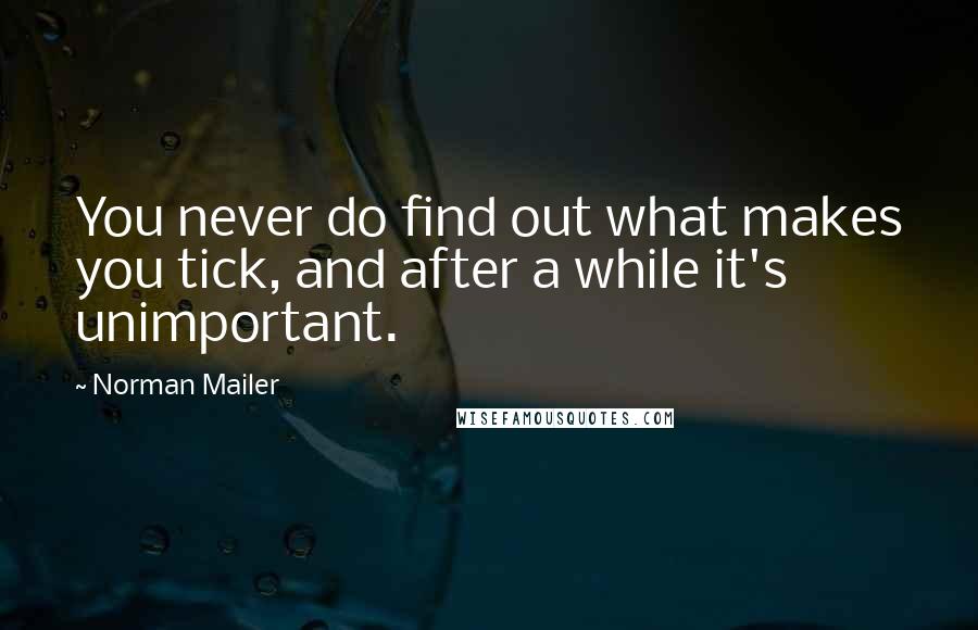 Norman Mailer Quotes: You never do find out what makes you tick, and after a while it's unimportant.