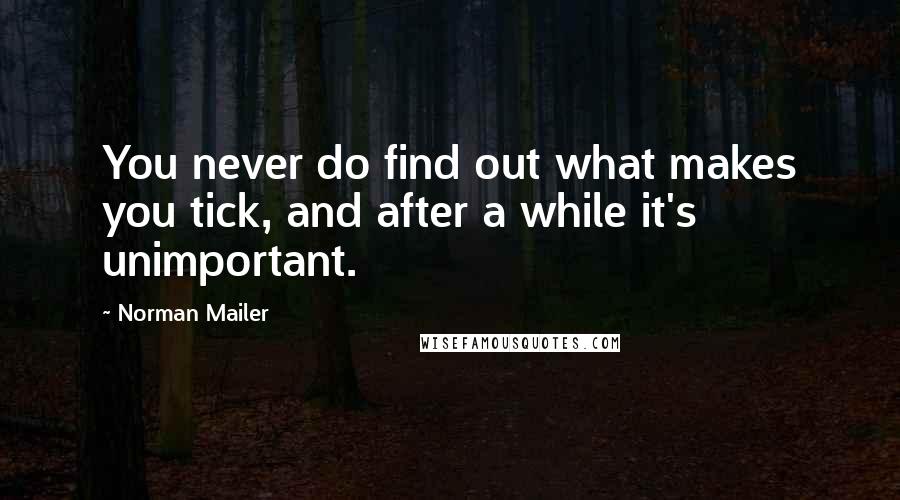 Norman Mailer Quotes: You never do find out what makes you tick, and after a while it's unimportant.