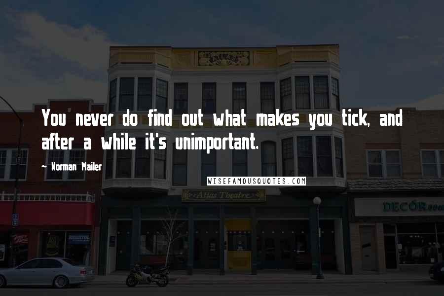 Norman Mailer Quotes: You never do find out what makes you tick, and after a while it's unimportant.