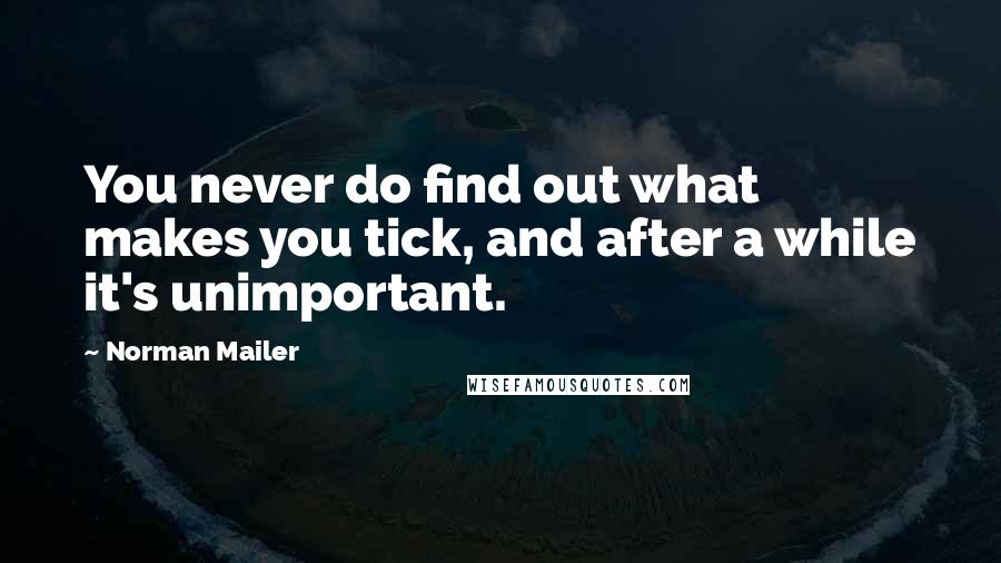 Norman Mailer Quotes: You never do find out what makes you tick, and after a while it's unimportant.